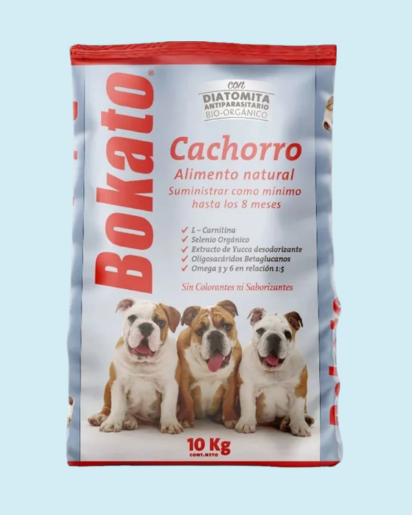 BOKATO CACHORRO 10K