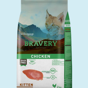 BRAVERY CHICKEN KITTEN 2K