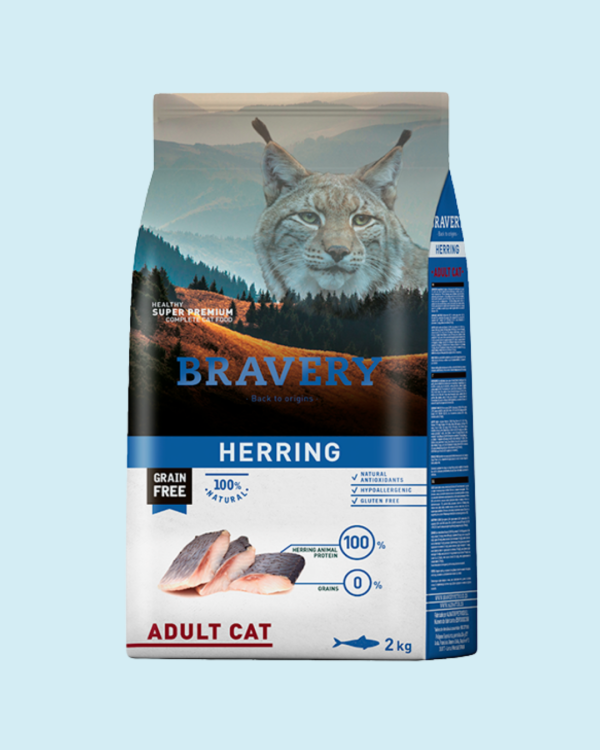 BRAVERY HERRING ADULT CAT 2K
